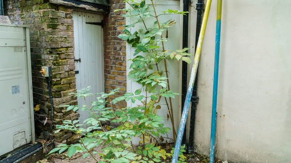 stoke-newington-n160pg-177