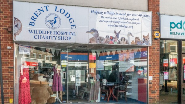 havant_property_investment_po9_1eh_-_002